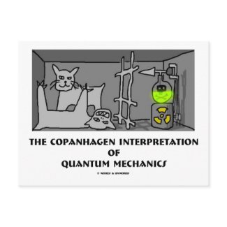 Copanhagen Interpretation Of Quantum Mechanics postcard