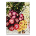 Copenhagen rainbow flowers cards
