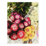 Copenhagen rainbow flowers postcards