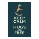 Copernicus-the-homicidal-monkey poster