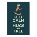 Copernicus-the-homicidal-monkey poster