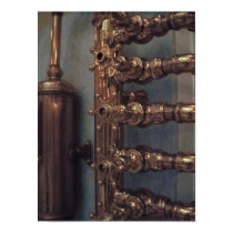 Copper Beauties  posters