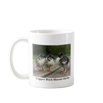 Copper Black Marans Chicks Mug by wjeane