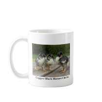 Copper Black Marans Chicks Mug