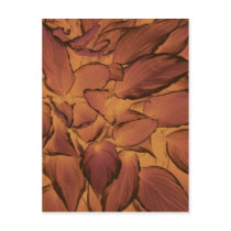 copper leaf postcards by nmpics copper leaf postcards