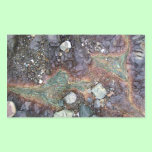 Copper New Zealand stickers