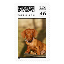 Copper postage by providencephoto Copper postage
