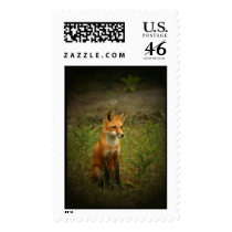 Copper postage by CloudNinePhoto Copper postage