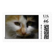 Copper postage