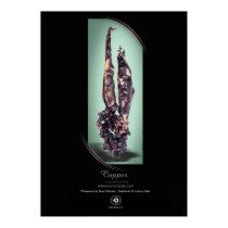 COPPER posters