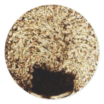 Coppertop Round Stickers