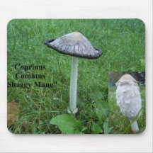 Coprinus comatus mousepad