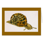 "Copse Snail" (1) Card