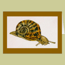 "Copse Snail" (1) cards