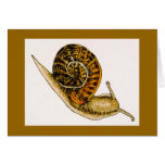 "Copse Snail" (2) Card