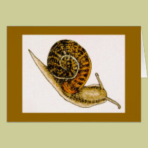 "Copse Snail" (2) cards
