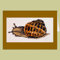 "Copse Snail" (3) cards