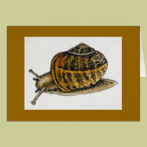 "Copse Snail" (4) cards
