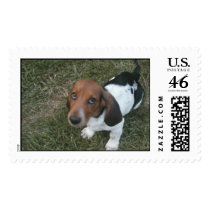 Copy (2) of P1010017 Stamp
