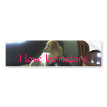 copy bumper stickers by Moondial copy bumper stickers