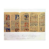 Copy of a fragment of the Dresden Codex Postcard