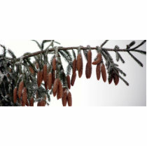 Copy of Fur_Tree_Stitched_Bow_2_Photos_A photo sculptures by redogpeters Copy of Fur_Tree_Stitched_Bow_2_Photos_A photo sculptures