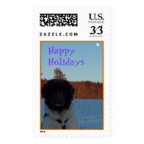 Copy of HPIM1562, HappyHolidays postage by cebinvt Copy of HPIM1562, HappyHolidays postage