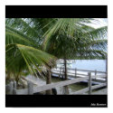 Copy of Picture 221, Isla Roatan posters