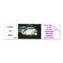 Copy of ScannedImage-4, there are all kindsof n... bumper stickers by deborahhilbrant Copy of ScannedImage-4, there are all kindsof n... bumper stickers