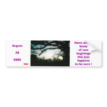 Copy of ScannedImage-4, there are all kindsof n... bumper stickers