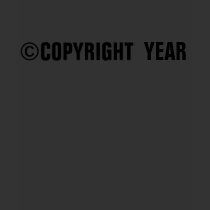 Copyright Personalized T-Shirt by TheFamousLabel Copyright Personalized T-Shirt