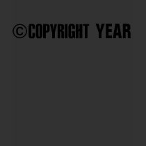 Copyright Year Personalized T-Shirt by TheFamousLabel Copyright Year Personalized T-Shirt