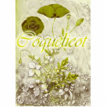 Coquelicot Photo Cut Outs