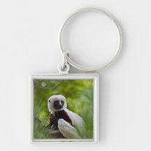 Coquerel's Sifaka in the forest 2 Keychains