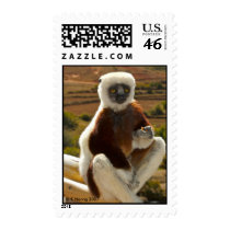 Coquerel's Sifaka, Madagascar postage by krisfiddle Coquerel's Sifaka, Madagascar postage