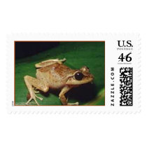 Coqui Stamps