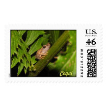 Coqui Postage Stamps