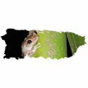 Coqui Sculpture Keychain photo sculptures