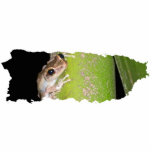 Coqui Sculpture Keychain photo sculptures