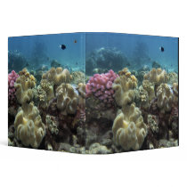 Coral, Agincourt Reef, Great Barrier Reef, Vinyl Binder