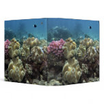 Coral, Agincourt Reef, Great Barrier Reef, Vinyl Binder