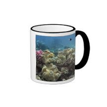 Coral, Agincourt Reef, Great Barrier Reef, Mug