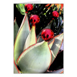 Coral aloe Christmas Greeting Cards