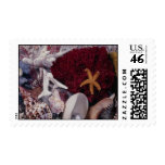 Coral and Seashells Postage Stamps