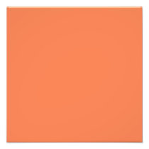 Coral Art Photo