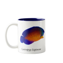 Coral Beauty Angelfish - Centropyge bispinosus Mug by fishlore Coral Beauty Angelfish - Centropyge bispinosus Mug
