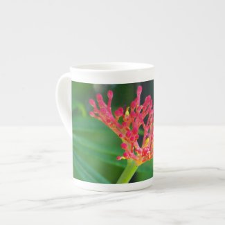 Coral Bush in bloom Bone China Mugs