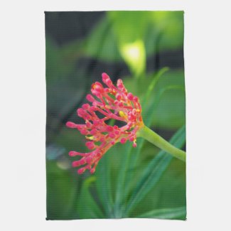 Coral Bush in bloom Kitchen Towels