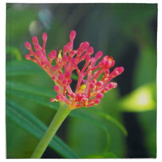 Coral Bush in bloom Napkin