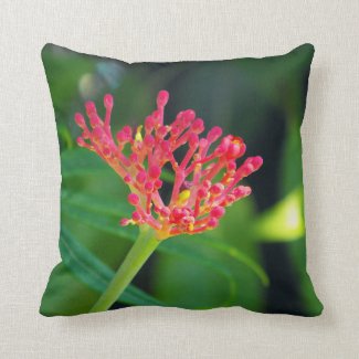 Coral Bush in bloom Throw Pillow